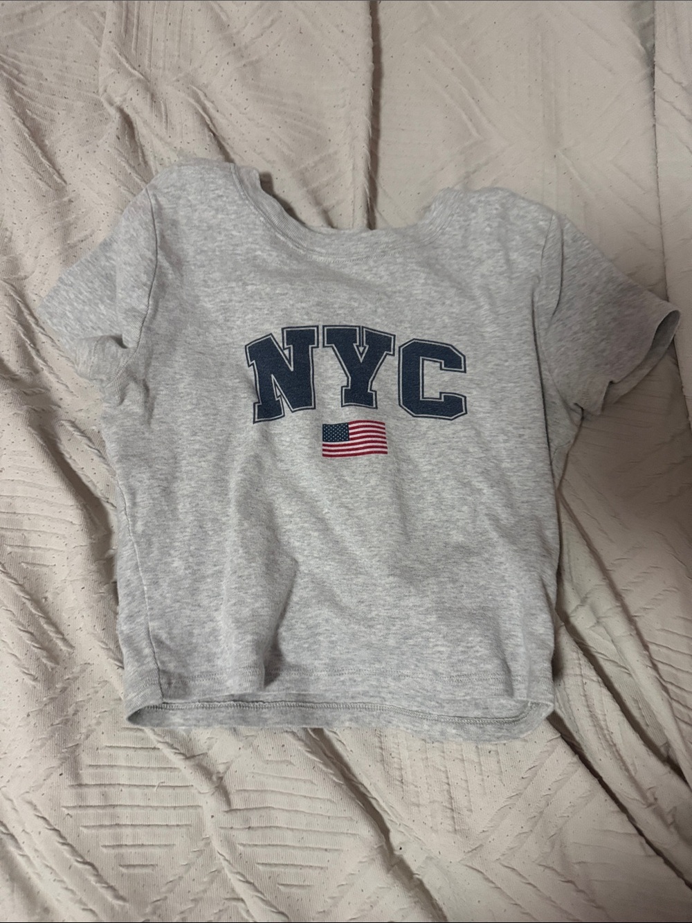 Hollister Light Gray Tee with Navy NYC and Small Flag